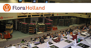 Floraholland